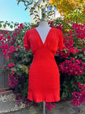 Free People Florencia Mini Dress | US M | NTW