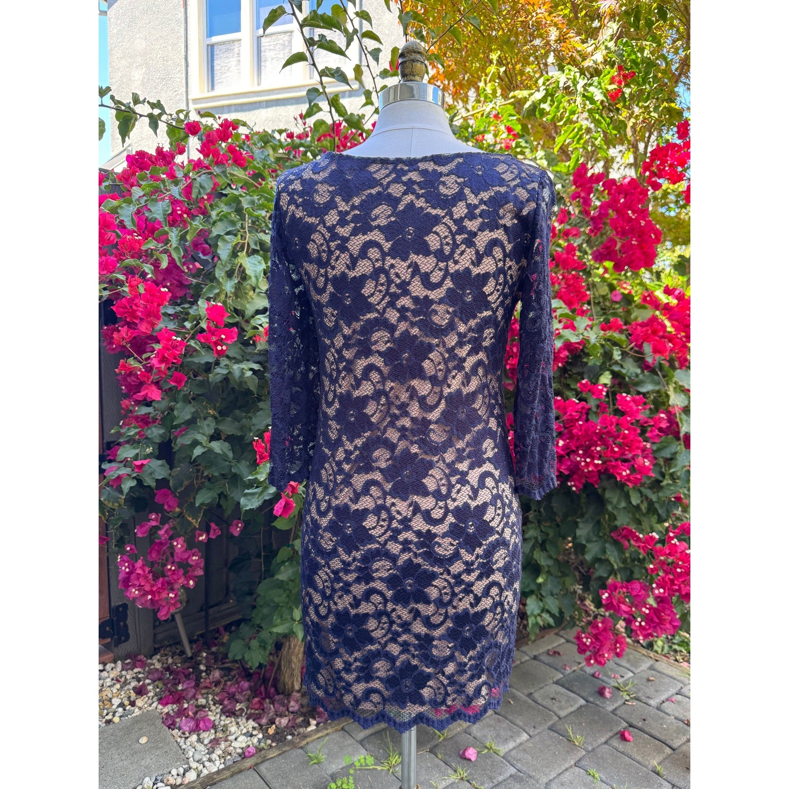 ASOS Petite Elegant Lace Shift Dress | US 10 Petite | Excellent Condition